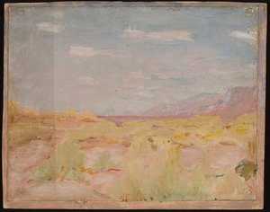 Steppe (Transkaspiske region). Fra en rejse til Turkestan af Jan Ciągliński