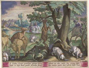 Hertenjacht met honden Jachttaferelen (serietitel) Jagten på vildt, fugle og fisk i Bestiary (serietitel) af Jan Collaert