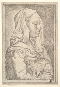 Pige med en kat, 1546. af Jan Cornelisz Vermeyen