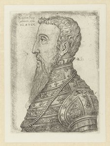 Portret van Hendrik II Henry King of the Gallers (titel på objekt) af Jan Cornelisz Vermeyen