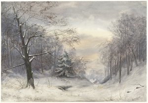 vinterlandskab
