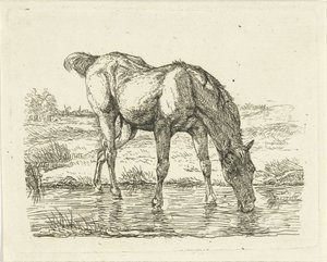 Drikkehest