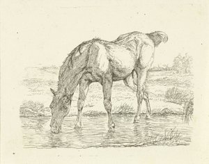 Drikkehest