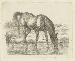 Drikkehest af Jan Dasveldt