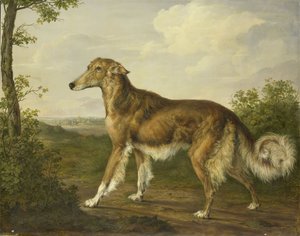 Siberian Greyhound, ca. 1825 (olie på lærred) af Jan Dasveldt