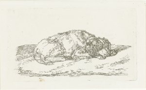 Sovende hund med hovedet hvilende på forbenene af Jan Dasveldt