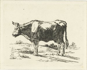 stående ko af Jan Dasveldt