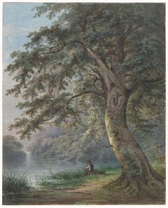 Lystfisker under stort træ ved dam af Jan David Geerling Grootveld