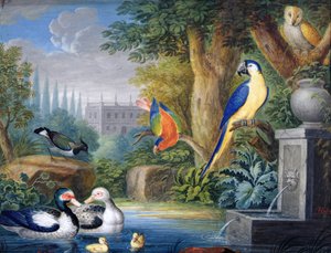 Eksotiske fugle i en prydhave, ca. 1650 (gouache på papir)