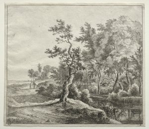 The Serpentine Road af Jan Hackaert