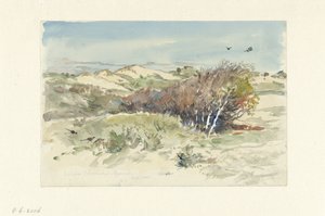 Klitlandskab mellem Bloemendaal og IJmuiden