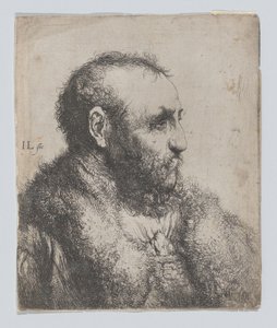  af Jan Lievens