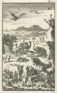 Væsenet af Jan Luyken