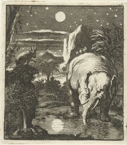 Hare og elefant med fuldmåne ved en vandkilde af Jan Luyken