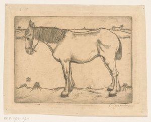 Hest