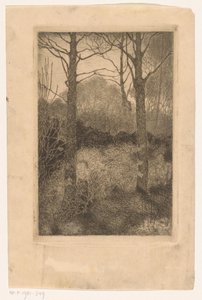 skovbryn af Jan Mankes