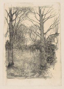 skovbryn af Jan Mankes