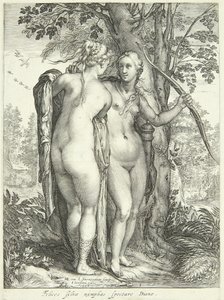 Diana og en nymfe ved et træ af Jan Saenredam