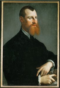 Portræt af en mand med rødt skæg (maleri på lærred) af Jan Stephen Calcar