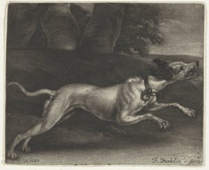 løbende hund af Jan Verkolje (I)