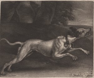 En Løbende Hund