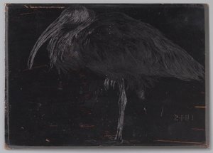 Ibis (original titel på objekt) af Jan Veth