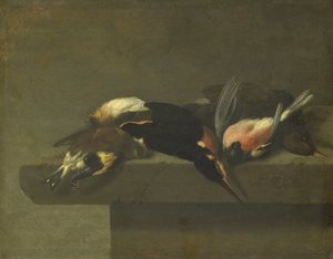 Døde Fugle af Jan Vonck