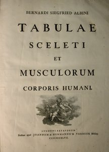 Albinus I, titelblad, fra 