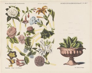 Sådan laver du en blomsterbuket / (1) (titel på objekt) Nye hollandske børnetryk (serietitel på objekt) Funkes print (serietitel på objekt)