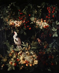 Frugtstykker med blomster rundt om en cartouche med en svovlkakekakadu (olie på lærred) af Jan van (attr. to) Kessel
