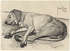 Sovende hund, til venstre