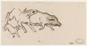 To hunde jagter en gris