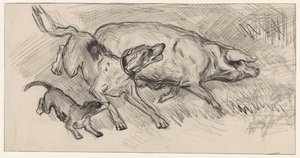 To hunde jagter en gris af Jan van Essen
