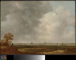 Panoramaudsigt over en flod med lavtliggende enge