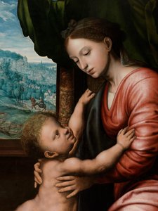 Detalje af Jomfru med barn (olie på panel) af Jan van Hemessen