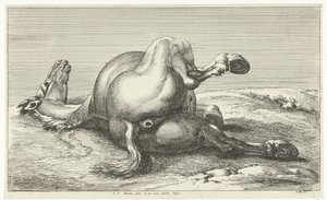 falden hest Dead Horses (serietitel)