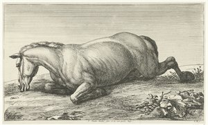 Død hest liggende på maven Dead Horses (serietitel)