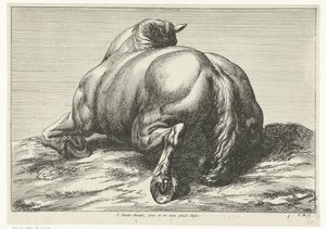 Faldet hest på maven set bagfra Dead Horses (serietitel)