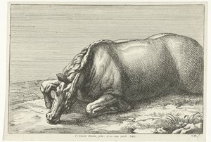 Død hest ses i venstre side Dead Horses (serietitel) af Jan van Huchtenburg