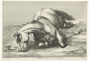 Død hest liggende på højre side Dead Horses (serietitel)