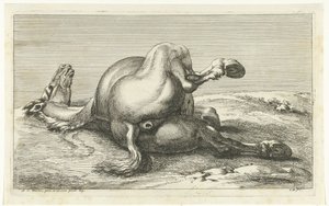 Faldet hest set bagfra Dead Horses (serietitel)