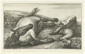 To faldne heste, den venstre set forfra Dead Horses (serietitel) af Jan van Huchtenburg