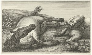 To faldne heste, den venstre set forfra Dead Horses (serietitel) af Jan van Huchtenburg