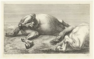 To faldne heste, den højre set fra siden Dead Horses (serietitel) af Jan van Huchtenburg
