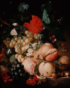 Blandet Blomster og Frugt med Insekter paa en Marmorsokkel af Jan van Huysum