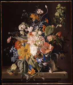 Valmuer, stokrose, Morning Glory, bratsch, tusindfryd, søde ærter, morgenfruer og andre blomster i en vase med en snegl på en afsats
