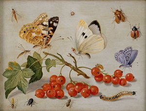 Et stilleben med kvist af røde ribs, sommerfugle, biller, larve og insekter (olie på kobber)