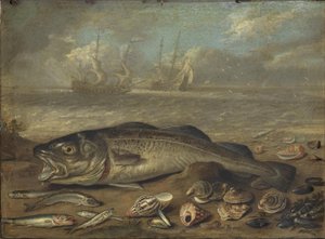 Fisk og havlandskab af Jan van Kessel the Elder