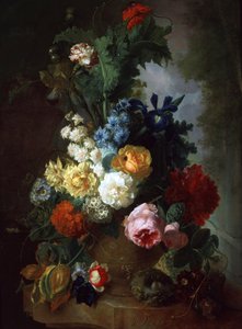  af Jan van Os