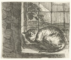 Kat i vinduesrammen af Jan van Ossenbeeck